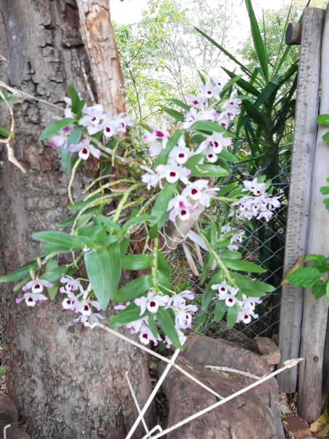 Kruger Southern Cross 马里兰 外观 照片